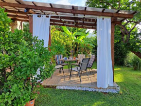 Apartment Peruč with big terrace and beautiful garden